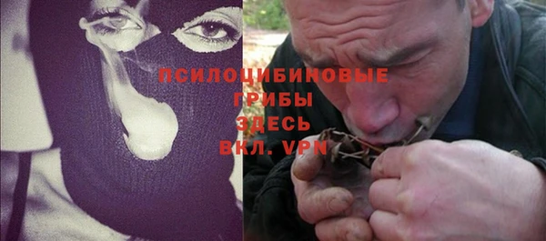 дмт Лагань