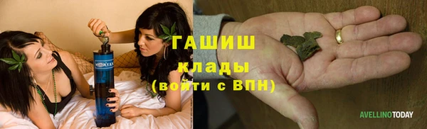 дмт Лагань