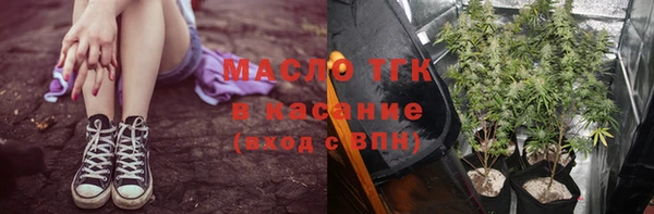 дмт Лагань